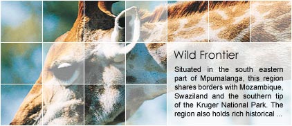 Wild Frontier