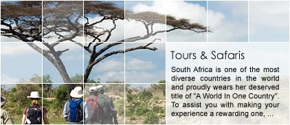 South Africa Tours