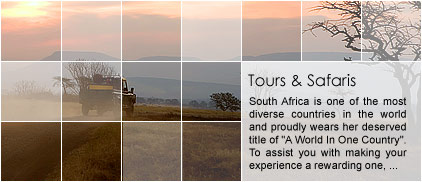 South Africa Tours