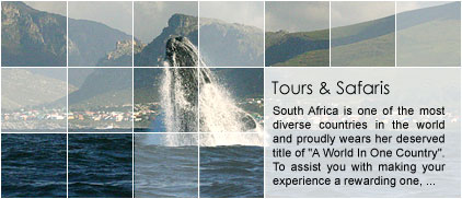 Hermanus Tours