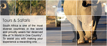 South Africa Tours