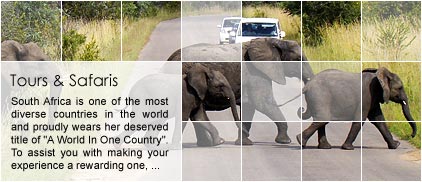 South Africa Tours