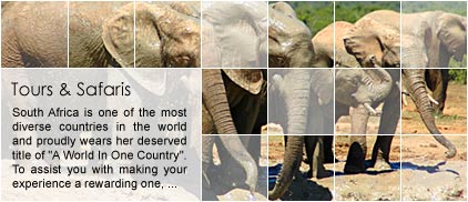 Kruger National Park Tours