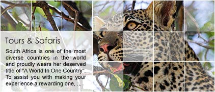 Kruger National Park Tours