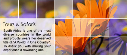 Namaqualand Tours