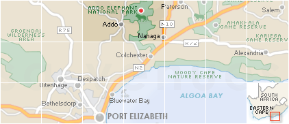 Accommodation in Addo Elephant Park