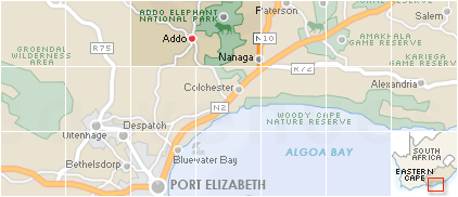 Accommodation in Addo