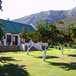 Boschkloof Farm Cottages, 