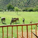 De Oude Meul Country Lodge, 