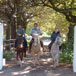 Die Eike Farm Accommodation, 
