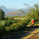 Eensgevonden Vineyard Cottages, 