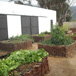 Kuruma Farm Cottages, 