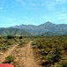 Matjiesvlei Guest Farm, 