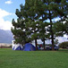 Wild Olive Farm, 