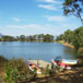 Wild Olive Farm, 