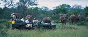 Accommodation in Steytlerville