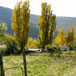 Redcliffe Guest Farm, 