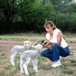 Reedsdell Country Guest Farm, 