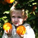 Rosedale Organic Farm B&B, 