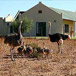 De Denne Guest House, 