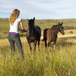 Grootnek Guest Farm, 