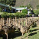 Old Mill Lodge & Restaurant, 