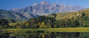 Accommodation in the Drakensberg