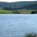 Sheltered Vale Cottages, 