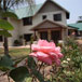 Country Lane Lodge, 