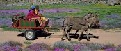 Accommodation in Kuruman