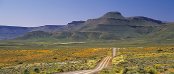 Accommodation in Springbok