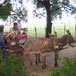 New Holme Karoo Guestfarm, 