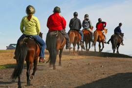 Horse Riding in Addo Elephant Park
