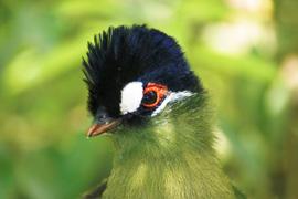 African Dawn Wildlife Sanctuary
