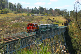 The Port Elizabeth Apple Express