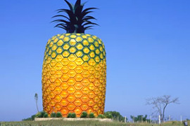Visit the biggest Pineapple in the World