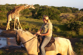 Horse Safari on the Fish River