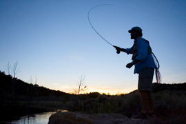 Fly-Fishing for Wild Trout