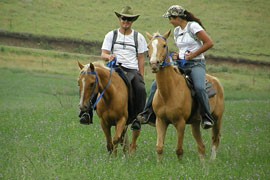 Horse Riding in Wild Mountain Country