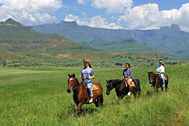 Horse Riding Trails at Lammergeier