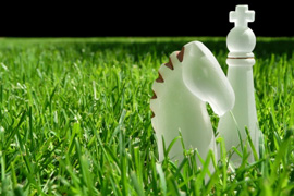 Play Chess at Happy Valley