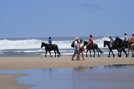 Horse riding on the Beach