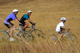 Baakens River Mountain Bike Trail