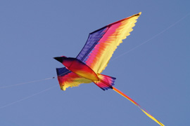 Lets go Fly a Kite