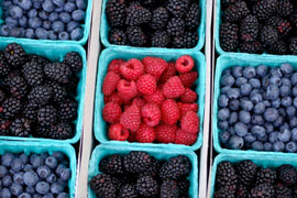 Berry Picking at Bon-Af Berry Farm