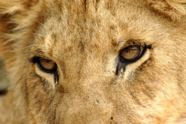 Bloemfontein Zoo