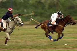 Franshoek Polo School