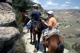 Horse Riding at Mont Plaisir
