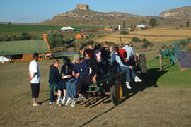 Horse Riding at Pumula Farm