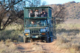 The Tiger Experience at Tiger Canyons